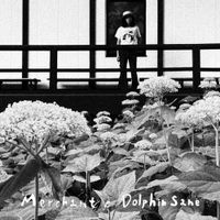 Merchant - Dolphin Sane