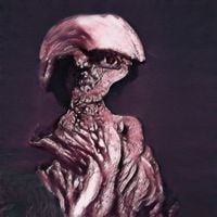 wishlane - Nobody's listening!