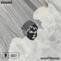 zensei ゼンセー - sound therapy