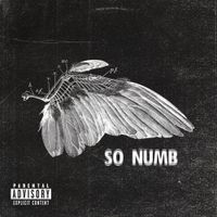 TX2 - So Numb