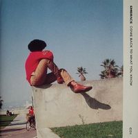 Embrace - Come Back to What You Know