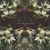 The Stargazer Lilies - Lost