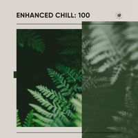 Various Artists - Enhanced Chill: 100