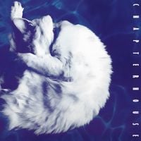 Chapterhouse - Whirlpool