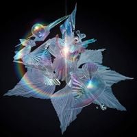 Bj&ouml;rk - The Gate