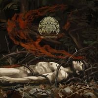 Cogitations - Relinquished