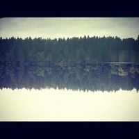 Falling Up - Reimagined