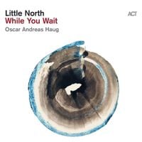 Little North - While You Wait