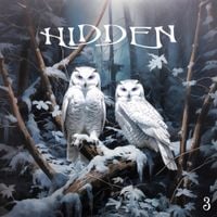 RONEN - Hidden 3