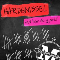 H&aring;rdgnissel - Vad har du gjort?