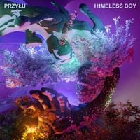 przyłu - HOMELESS BOY