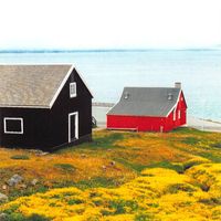 Jandek - Ann Arbor Saturday