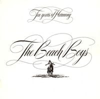 The Beach Boys - Ten Years of Harmony