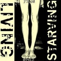 Car Seat Headrest - Starving While Living