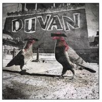 Strikt - Duvan / Brinner upp / Tr&ouml;tt p&aring; det h&auml;r