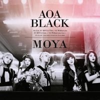 AOA BLACK - MOYA