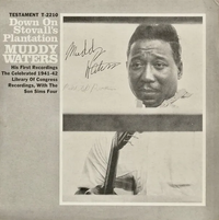 Muddy Waters - Down on Stovall's Plantation