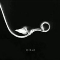 101A - 01