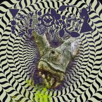 Phyllomedusa - Gestation In Hillock