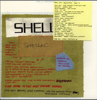 Shellac - The Bird Is the Most Popular Finger