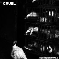 Cruel - Common Rituals