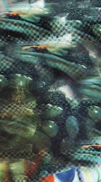 Mark McGuire - Glass Bowls