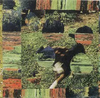Mark McGuire - Let Us Be the Way We Were