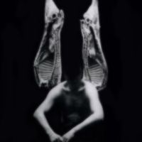 Gardenjia - Mostra dell'arte degenerata