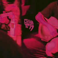 Pink Feather Boa - Pink Feather Boa