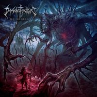 Desolate Sphere - Hallucinosis