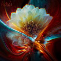 Faelow - Scyphozoa