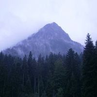 Celepha&iuml;s - Monad