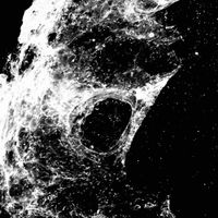 Crushing The Scepter - Inhumed