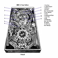 MIKE & Tony Seltzer - Pinball