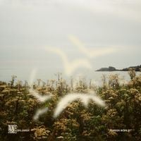 Wildflower - Green World