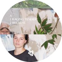 Grebenstein - Raging Tender