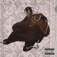 Asha Imuno - PINS & NEEDLES