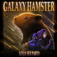 Ninja Sex Party - Galaxy Hamster
