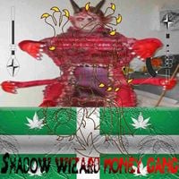 Shadow Wizard Money Gang - 5K1NW4LK3R