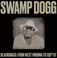 Swamp Dogg - Mess Under That Dress