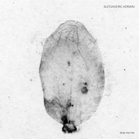 Alessandro Adriani - Enter the Fire
