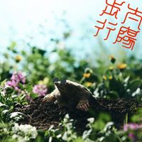 ズーカラデル [Zookaraderu] - 太陽歩行 (Taiyō Hogō)