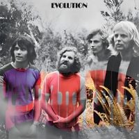 Tamam Shud - Evolution