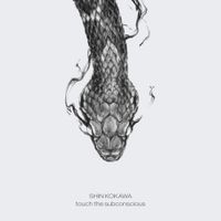 Shin Kokawa - touch the subconscious