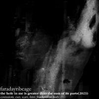faradayribcage - the hole in me is greater than the sum of its parts