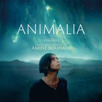Amine Bouhafa - Animalia