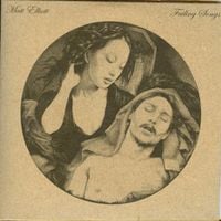 Matt Elliott - Failing Songs