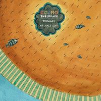 Cosmo Sheldrake - Wriggle (Mr Jukes Edit)