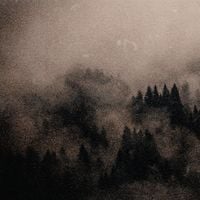 Kaya North - That Comes From the Tree and the Mist