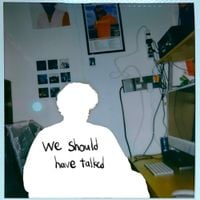 Mountain - we should have talked